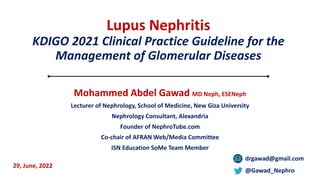 Lupus Nephritis
KDIGO 2021 Clinical Practice Guideline for the
Management of Glomerular Diseases
Mohammed Abdel Gawad MD N...