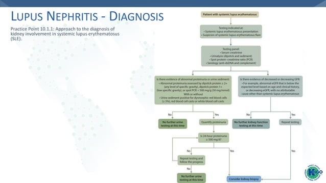 Lupus Nephritis Stage 5 Life Expectancy Lupus Nephritis (KDIGO 2021 Guidelines) - Dr. Gawad
