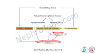Vitamin D in Chronic Kidney Disease Which type, Which dose, Which ...