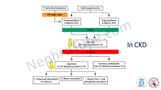 Vitamin D in Chronic Kidney Disease Which type, Which dose, Which ...