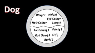 Hair Colour
Eye Colour
HeightWeight
Length
Lie Down( ) Fetch( )
Sit( )
Bark( )
Roll Over( )
 