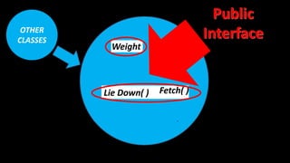 Hair Colour
Eye Colour
HeightWeight
Length
Lie Down( ) Fetch( )
Sit( )
Bark( )
Roll Over( )
OTHER
CLASSES
 