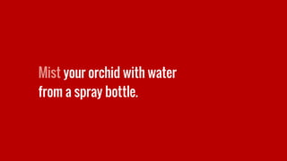 Mist your orchid with water
from a spray bottle.
 