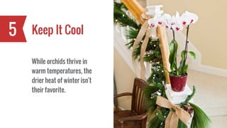 Keep It Cool5
While orchids thrive in
warm temperatures, the
drier heat of winter isn’t
their favorite.
 