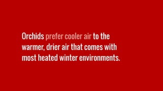 Orchids prefer cooler air to the
warmer, drier air that comes with
most heated winter environments.
 