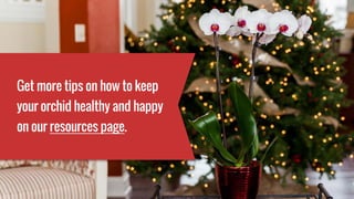 Get more tips on how to keep
your orchid healthy and happy
on our resources page.
 