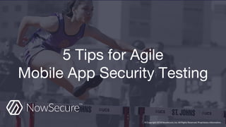 © Copyright 2018 NowSecure, Inc. All Rights Reserved. Proprietary information.
 