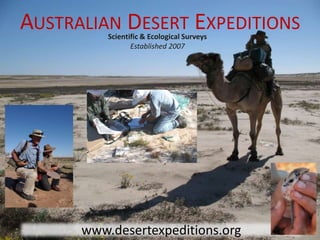 AUSTRALIAN DESERT EXPEDITIONS
          Scientific & Ecological Surveys
                 Established 2007




      www.desertexpeditions.org
 