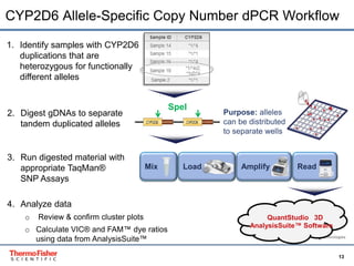 CYP2D6 Allele Specific Copy Number Analysis Using TaqMan® SNP ...