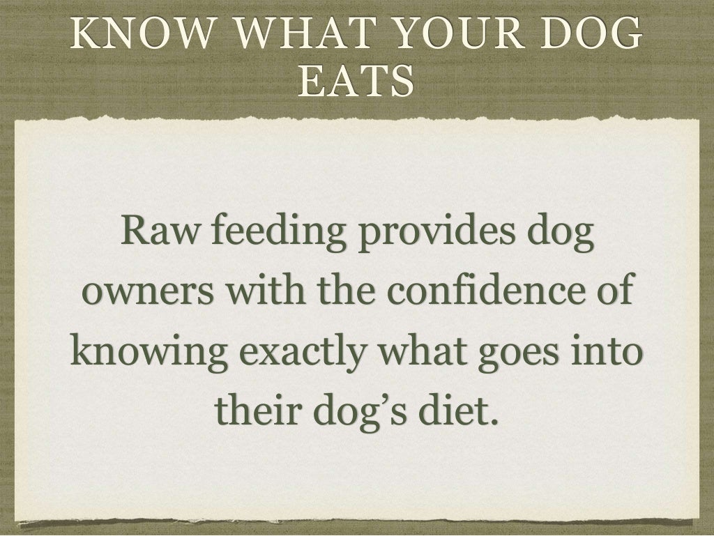 Benefits of Raw Feeding for Dogs