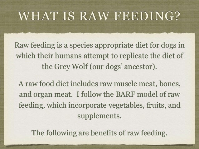 benefit of raw diet for dogs