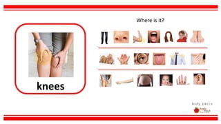 knees
body parts
Where is it?
 
