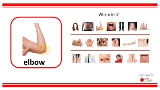 elbow
body parts
Where is it?
 
