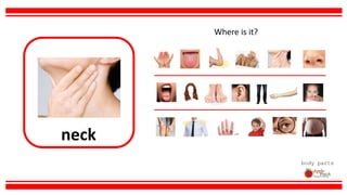 neck
body parts
Where is it?
 