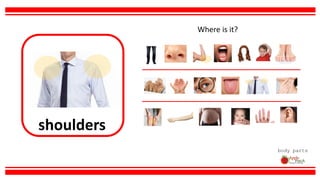 shoulders
body parts
Where is it?
 