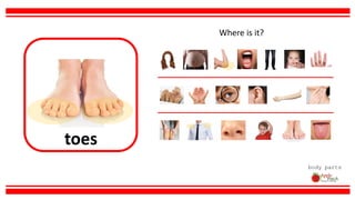 toes
body parts
Where is it?
 