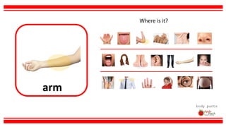 arm
body parts
Where is it?
 