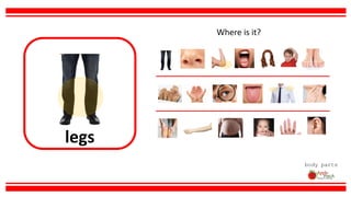 legs
body parts
Where is it?
 