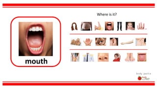 mouth
body parts
Where is it?
 