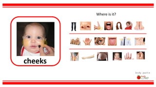 cheeks
body parts
Where is it?
 