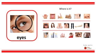 eyes
body parts
Where is it?
 