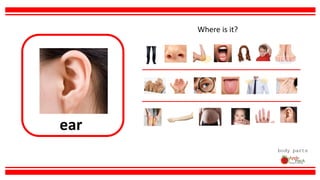 ear
body parts
Where is it?
 