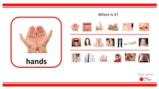 hands
body parts
Where is it?
 