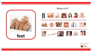 feet
body parts
Where is it?
 