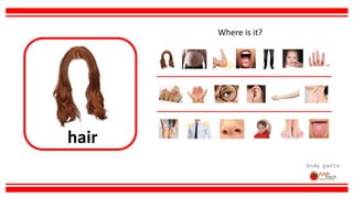 hair
body parts
Where is it?
 