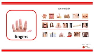 fingers
body parts
Where is it?
 