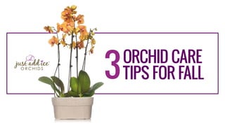 ORCHID CARE
TIPS FOR FALL
 