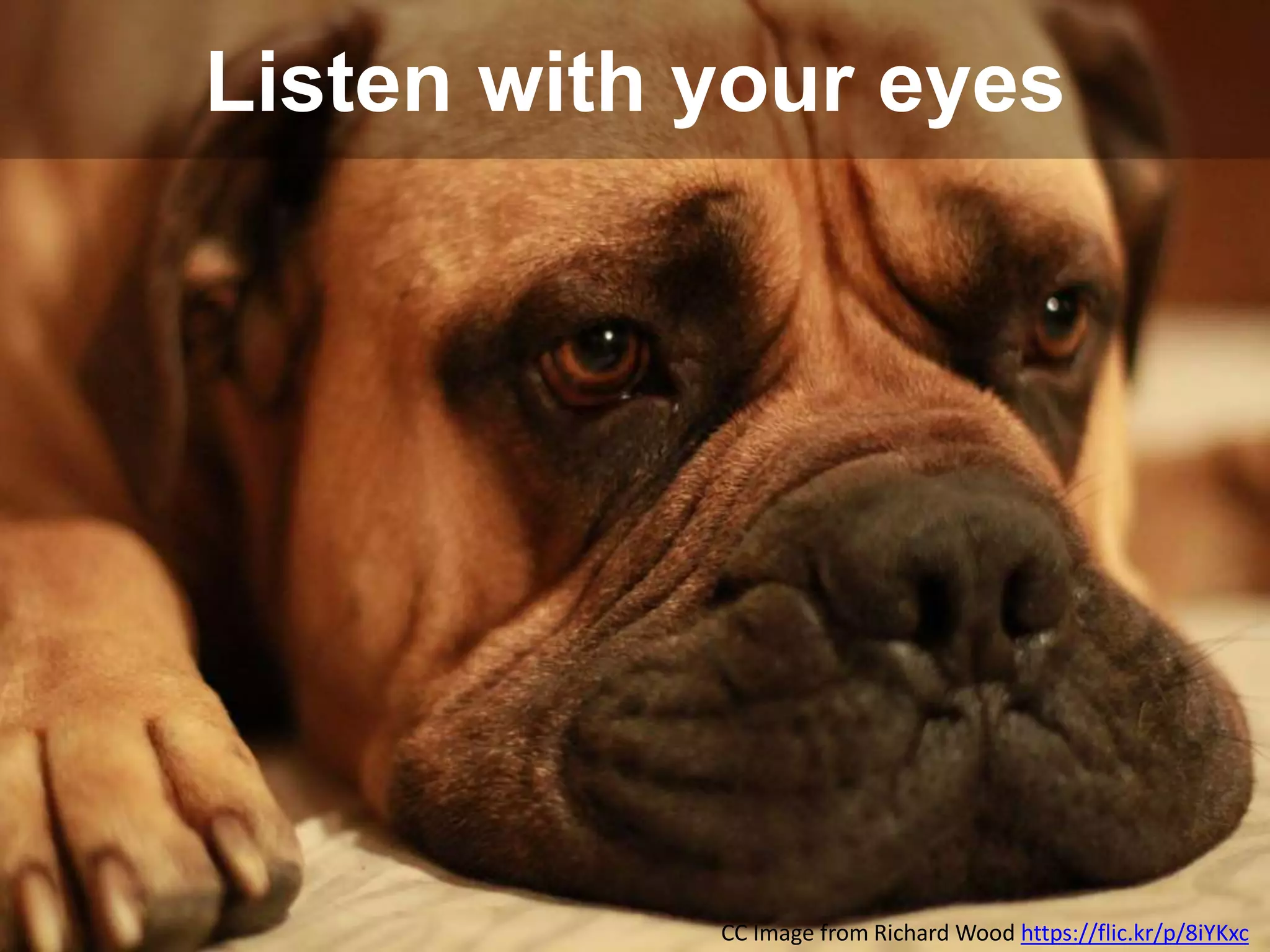 Listen with your eyes
CC Image from Richard Wood https://flic.kr/p/8iYKxc
 