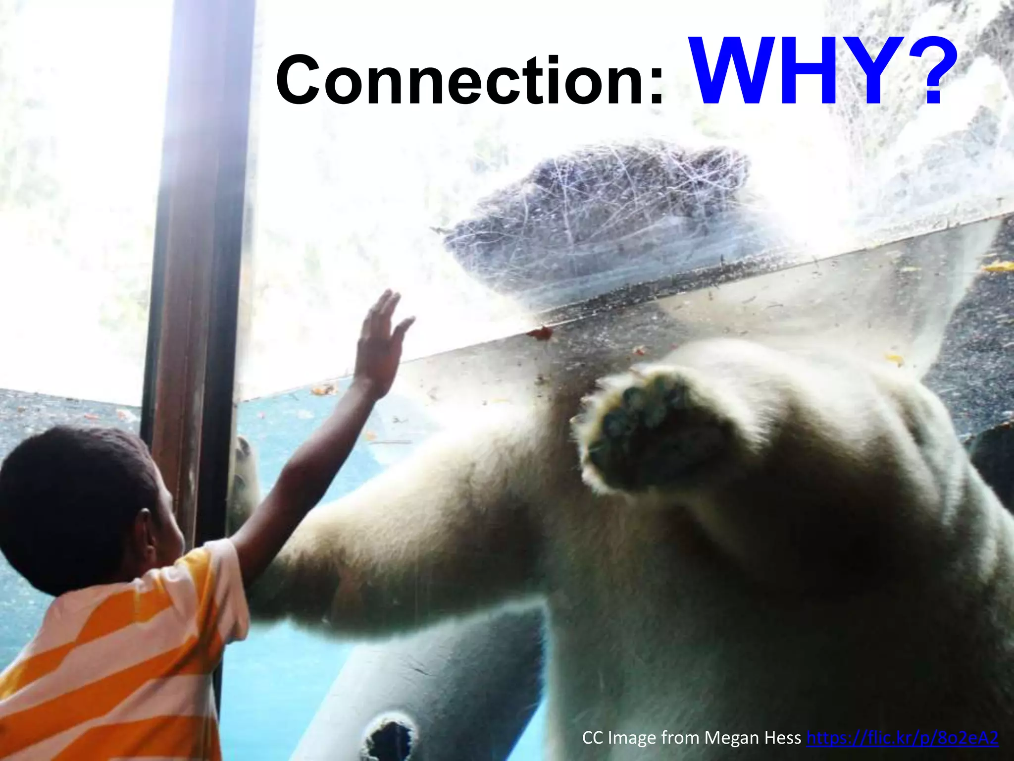 Connection: WHY?
CC Image from Megan Hess https://flic.kr/p/8o2eA2
 