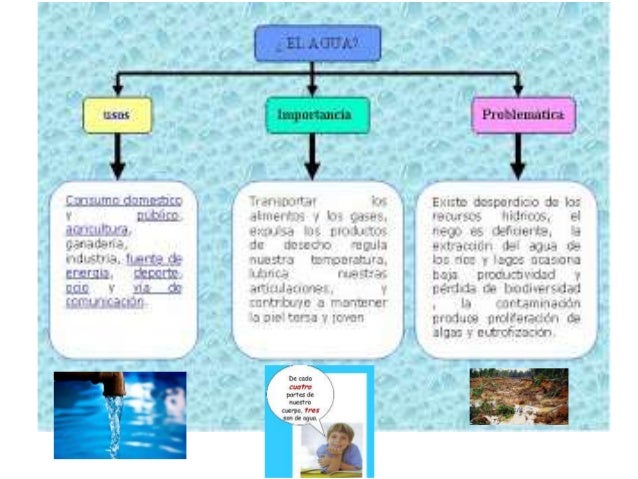 Organizador gráfico del agua