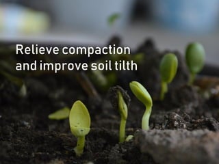Relieve compaction
and improve soil tilth
 