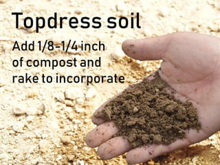 Topdress soil
Add 1/8-1/4 inch
of compost and
rake to incorporate
 