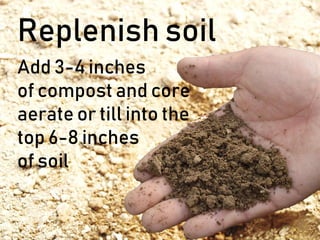 Replenish soil
Add 3-4 inches
of compost and core
aerate or till into the
top 6-8 inches
of soil
 