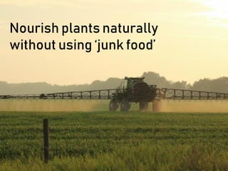 Nourish plants naturally
without using ‘junk food’
 