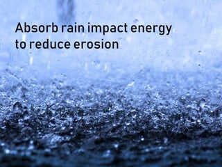 Absorb rain impact energy
to reduce erosion
 