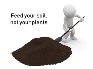 Feed your soil,
not your plants
 
