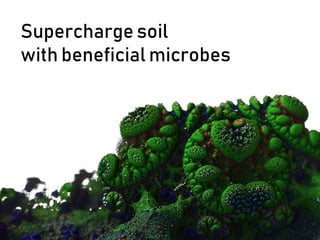 Supercharge soil
with beneficial microbes
 