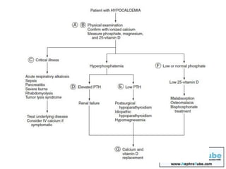 Hypocalcemia (Practical Approach) - Dr. Gawad | PDF
