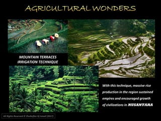 MOUNTAIN TERRACES
IRRIGATION TECHNIQUE
All Rights Reserved © Zhulkeflee Hj Ismail (2017))
With this technique, massive rice
production in the region sustained
empires and encouraged growth
of civilizations in NUSANTARA
 