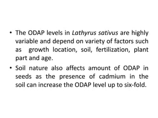 • The ODAP levels in Lathyrus sativus are highly
variable and depend on variety of factors such
as growth location, soil, fertilization, plant
part and age.
• Soil nature also affects amount of ODAP in
seeds as the presence of cadmium in the
soil can increase the ODAP level up to six-fold.
 