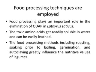 Food processing techniques are
employed
• Food processing plays an important role in the
elimination of ODAP in Lathyrus sativus.
• The toxic amino acids get readily soluble in water
and can be easily leached.
• The food processing methods including roasting,
soaking prior to boiling, germination, and
autoclaving greatly influence the nutritive values
of legumes.
 