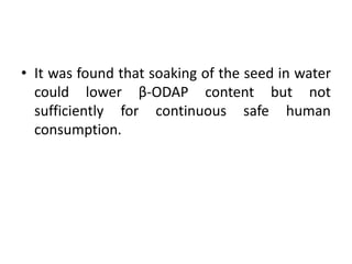 • It was found that soaking of the seed in water
could lower β-ODAP content but not
sufficiently for continuous safe human
consumption.
 
