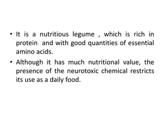 • It is a nutritious legume , which is rich in
protein and with good quantities of essential
amino acids.
• Although it has much nutritional value, the
presence of the neurotoxic chemical restricts
its use as a daily food.
 