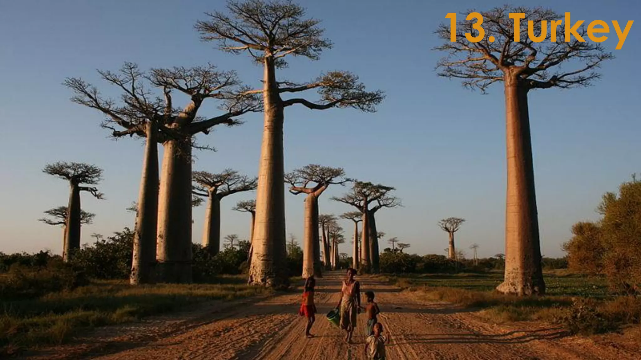 13. Turkey