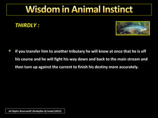 SECONDLY :
Nature did not create life; fire-blistered rocks and a salt less sea could not
meet the necessary requirements. "Who, then, has put it here?"
All Rights Reserved© Zhulkeflee Hj Ismail (2015)
 