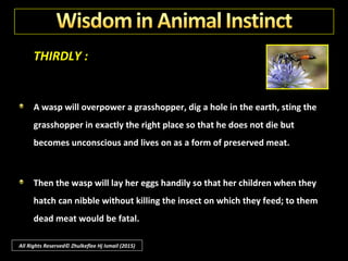 THIRDLY :
The little ones, with no apparent means of knowing anything except that they
are in a wilderness of water, nevertheless find their way back not only to the
very shore from which their parent came but thence to the rivers, lakes or
little ponds -- so that each body of water is always populated with eels.
All Rights Reserved© Zhulkeflee Hj Ismail (2015)
 